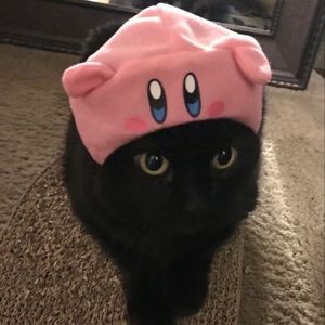 Meet your Posher, Jonte